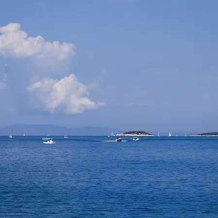 Apartments Vela Luka 尼亚卢卡