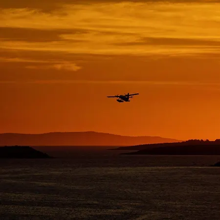 Apartments Vela Luka 公寓 尼亚卢卡