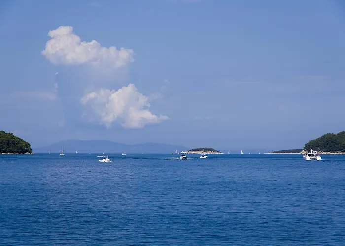 Apartments Vela Luka Vela Luka